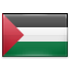 palestine icon