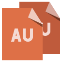 file,format,au icon