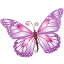 butterfly,purple icon