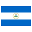 ni icon