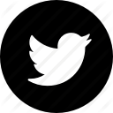feed, logo, media, news, social, store, twitter svg vector icon