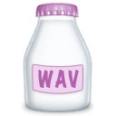fyle,type,wav icon
