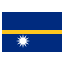 nr icon