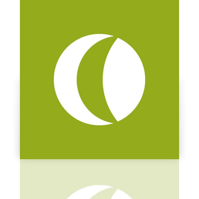 camtasia,studio,mirror icon