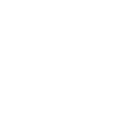 watch,inv icon