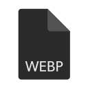 extension, file, format, webp svg vector icon