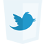 twitter icon