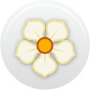 magnolia icon