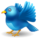 bird, twitter icon