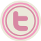 twitter icon