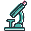 company, education, school, student, website svg vector icon