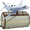 internet,bag icon