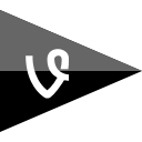 flag, media, social, vine svg vector icon