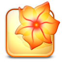 illustrator icon