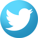 twitter icon