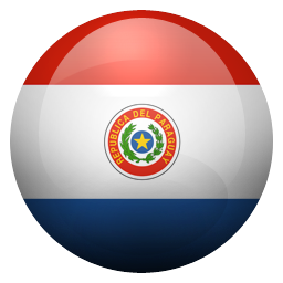 py icon