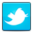 bird, social, twitter icon