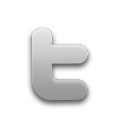 twitter,social network,social,sn icon