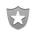 security icon