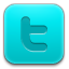 twitter,social network,social,sn icon
