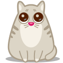 cat, eyes icon