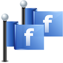 flag,friendfeed icon