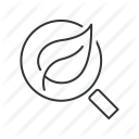 eco, ecology, green, leaf, nature, organic, search icon