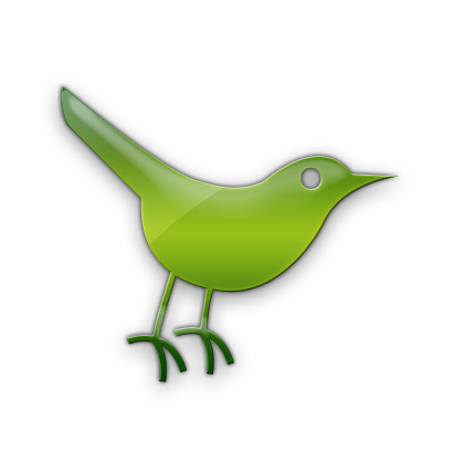 twitter,bird,animal,social network,social,sn icon