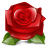 flower, lilly flower, nature, plant, red, rose icon