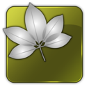 versioncue icon