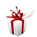 christmas, giftbox, present icon