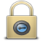 lock icon