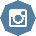 instagram, octagon icon