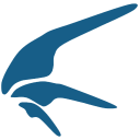xunlei icon