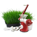 hand,wheatgrass,juicer icon