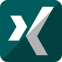 xing svg vector icon