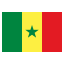 sn icon