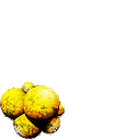 Star 43 icon