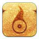 toast,food icon