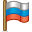flag icon