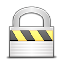 security,copy,duplicate icon