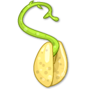 connect,seed,plant icon