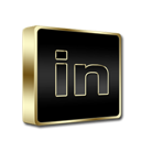 linkedin icon