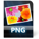 png icon
