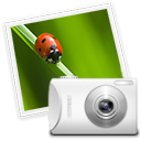 spot icon