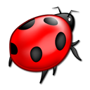 bug,animal,insect icon