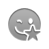 smiley,wink,star icon