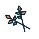 herbs, plants, spell, witch, wizard svg vector icon