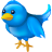 bird, logo, social, social media, tweet, twitter icon