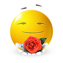 77_y icon